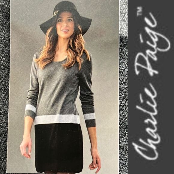 NWT Charlie Paige Gray Black Long Sleeve Sweater Dress Large - Picture 1 of 7